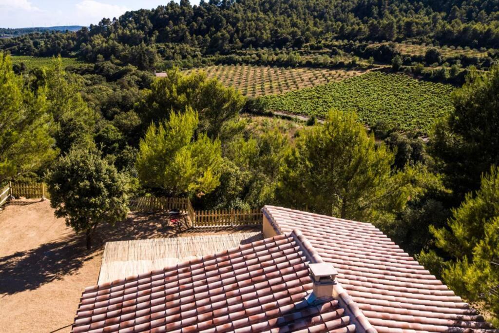 L'Arbre A Soleil Villa Aigues-Vives  Kültér fotó