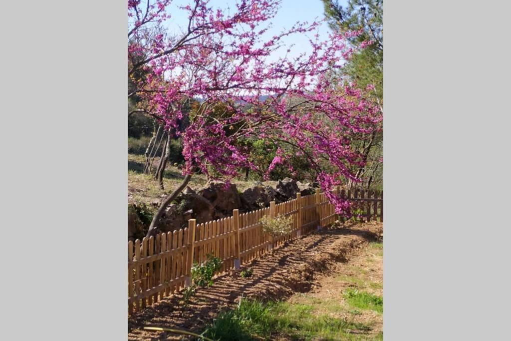 L'Arbre A Soleil Villa Aigues-Vives  Kültér fotó